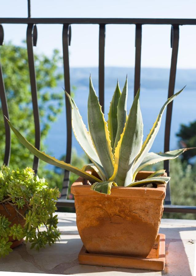 Villa Anima, Stanici, near Omiš Esterno foto